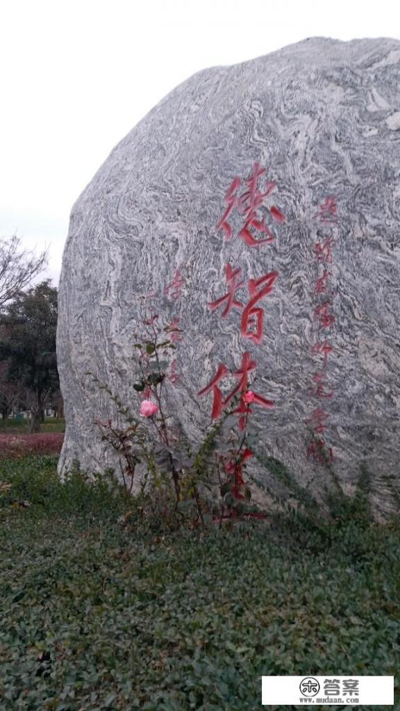 最近心理压力巨大，去哪里找到好的心理医生？