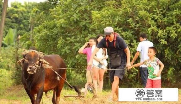 描写“田园生活美好”的诗句有哪些？