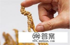 长白山人参是什么品种? 长白山人参是什么品种?