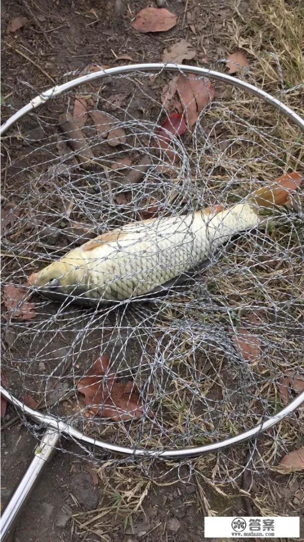 楚昀宁和叶嫣儿的小说名叫什么? 楚昀宁和叶嫣儿的小说名叫什么?