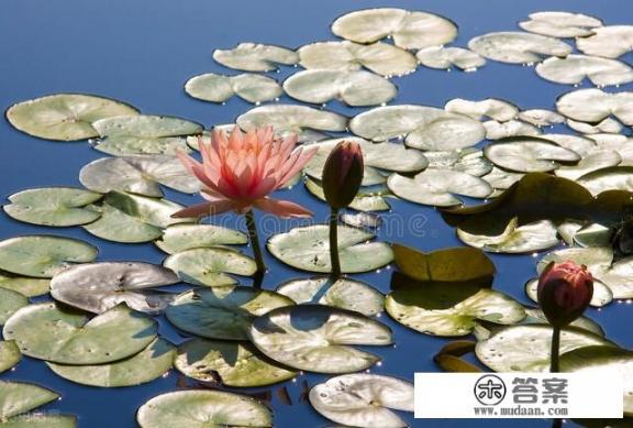 男人跟你玩久了会喜欢上你吗？