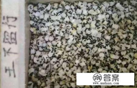 有什么中药名是有特殊意义的? 有什么中药名是有特殊意义的?