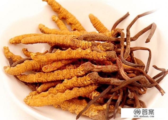 冬虫夏草泡水喝有哪些功效？