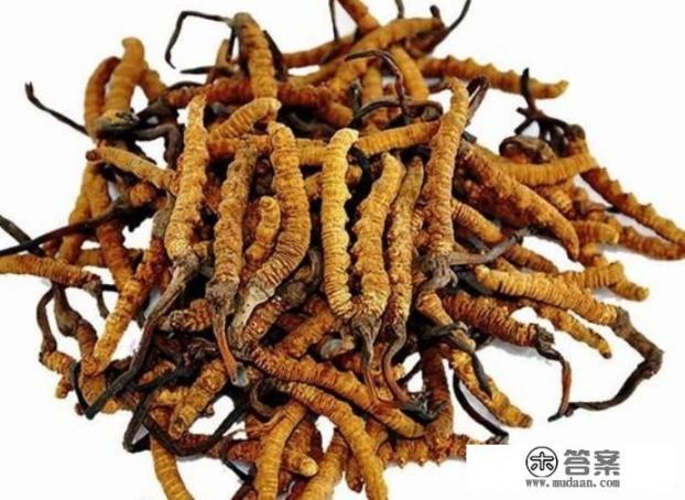 冬虫夏草泡水喝有哪些功效？