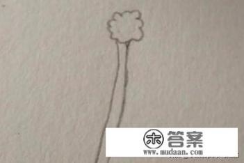蒲公英的简笔画？