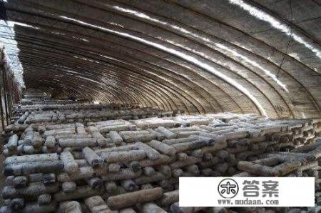 香菇种植技术与管理？