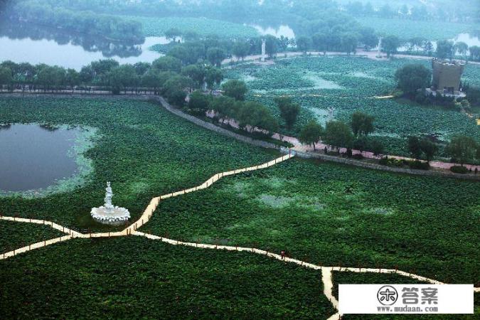 林海生态博览园门票？