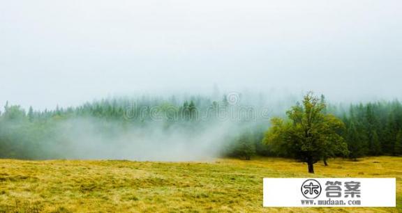 满21天即可预约接种第二针新冠疫苗，你打了吗？