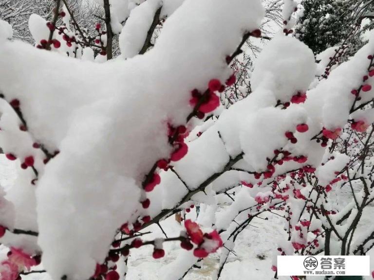 南京师范大学各校区建成时间？