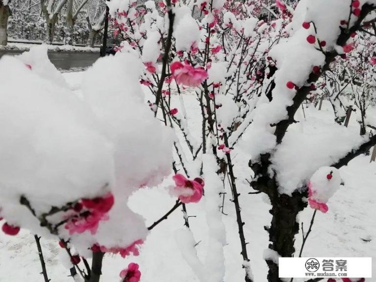 南京师范大学各校区建成时间？