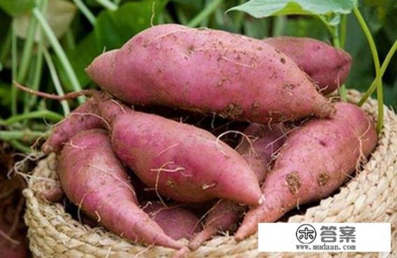 长黄褐斑怎么内调淡斑？