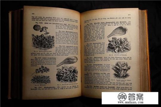 大学最快读完要多久?大学读到博士最快要多久? 大学最快读完要多久?大学读到博士最快要多久?