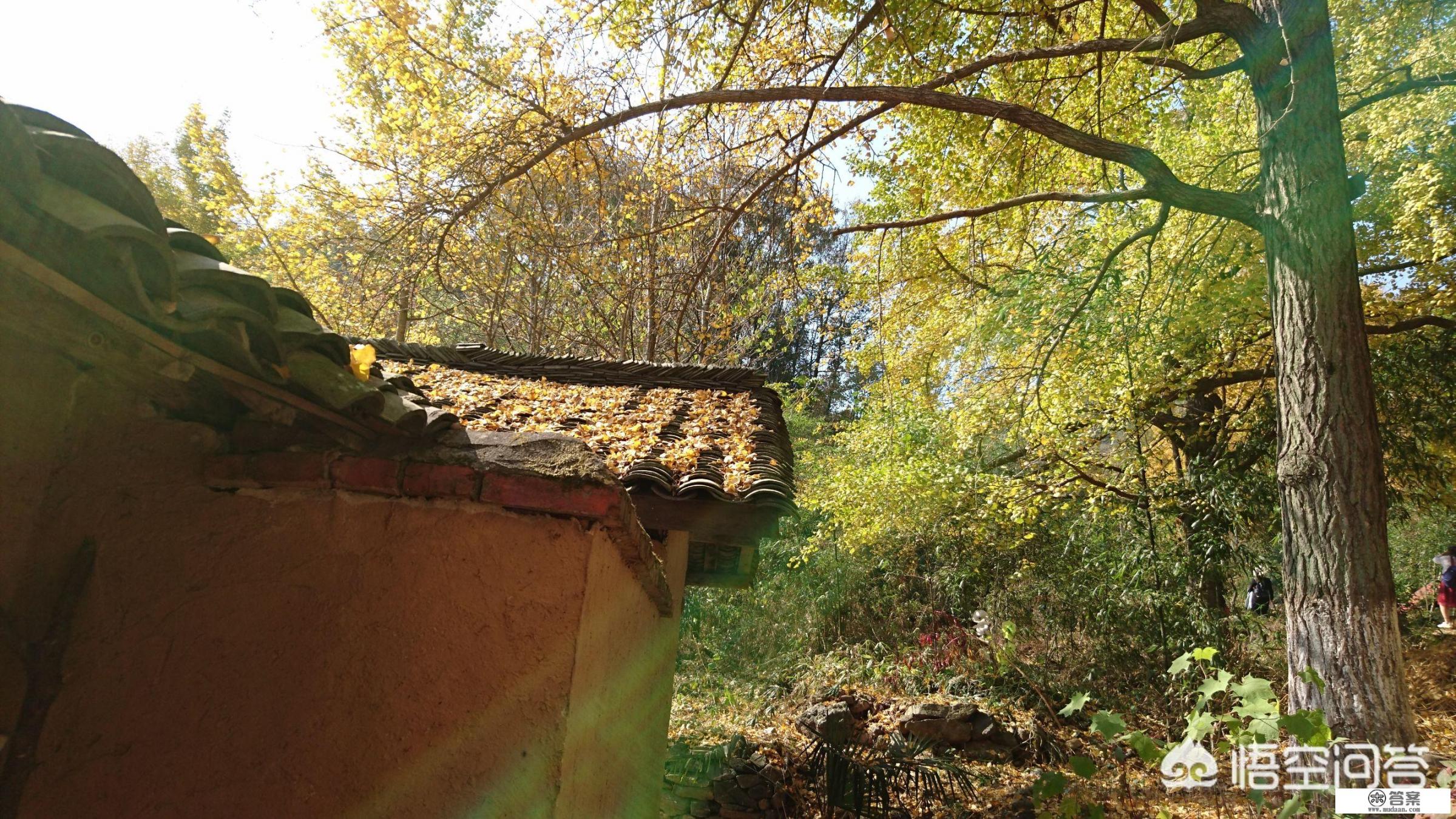 一日游时间怎么算？