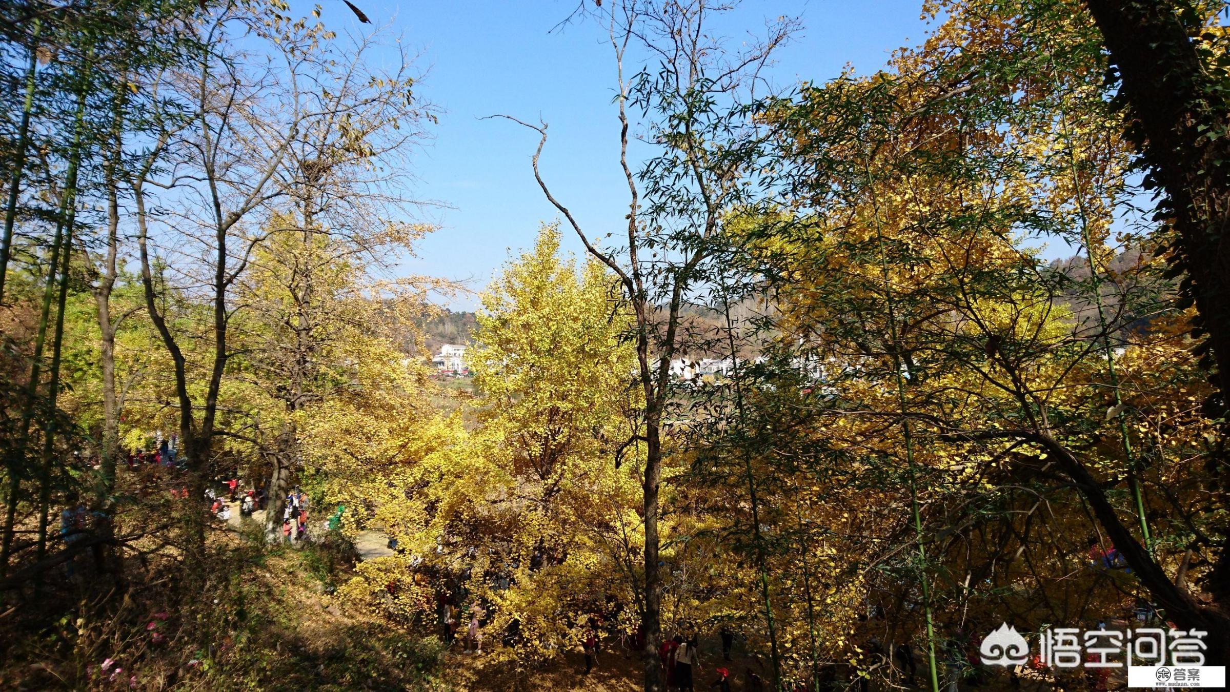 一日游时间怎么算？