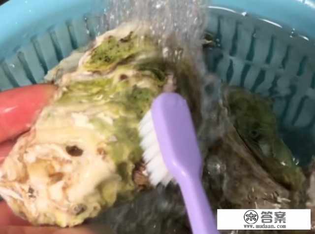 高压锅生蚝的做法？