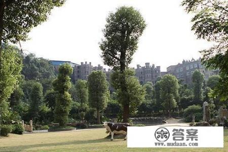 重庆华生园梦幻城堡要门票吗？