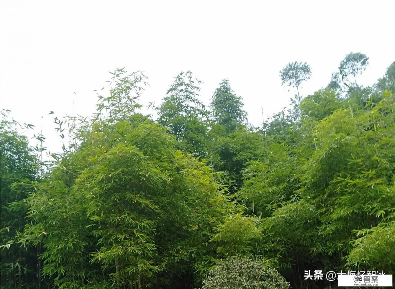 上课拍照的文案? 上课拍照的文案?