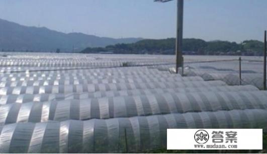 巨峰科技有限公司官网？