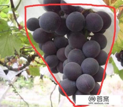 巨峰科技有限公司官网？