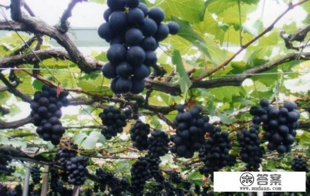 巨峰科技有限公司官网？