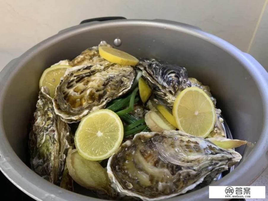 生蚝带壳蒸多久? 生蚝带壳蒸多久?