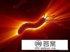 胃里“藏着”幽门螺旋杆菌，多喝2碗汤，养胃杀菌，胃炎好了，是说哪2碗汤？