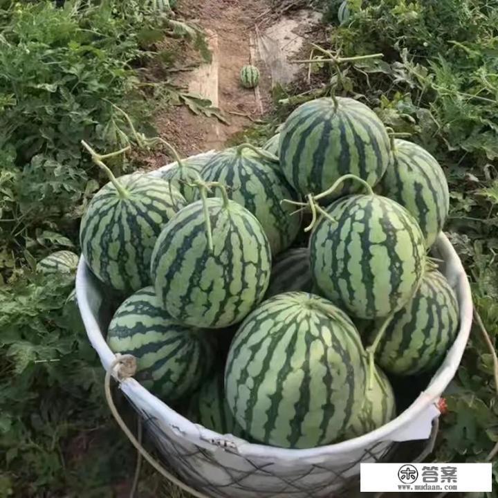 减脂期间晚上的水煮菜怎么吃? 减脂期间晚上的水煮菜怎么吃?