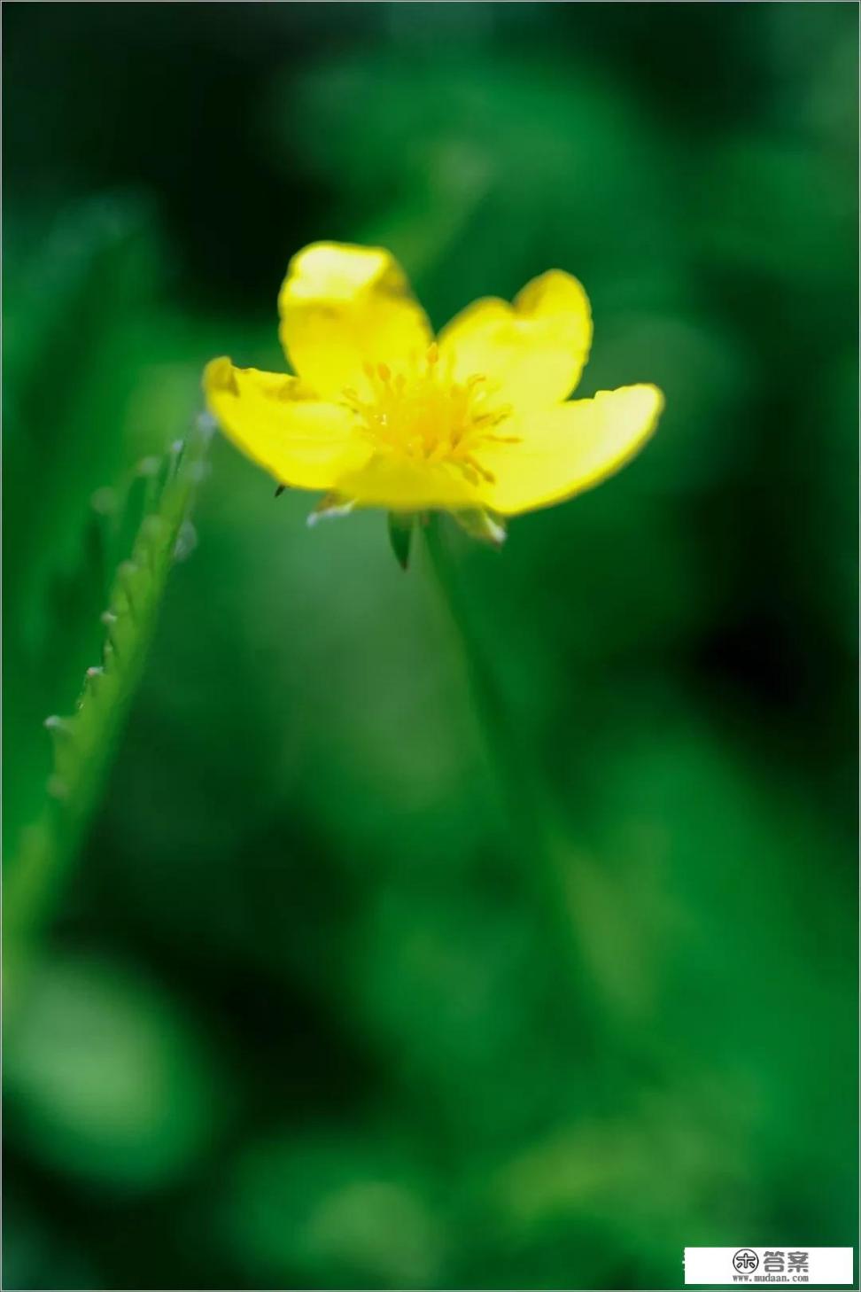 人为什么爱看“逆袭”故事？为何人们青睐逆袭题材？