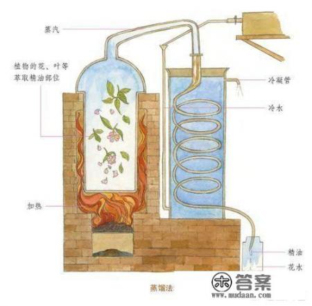 为什么精油都卖的这么贵呢？