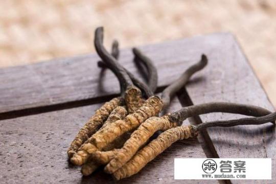 深度揭密冬虫夏草到底是怎么形成的？