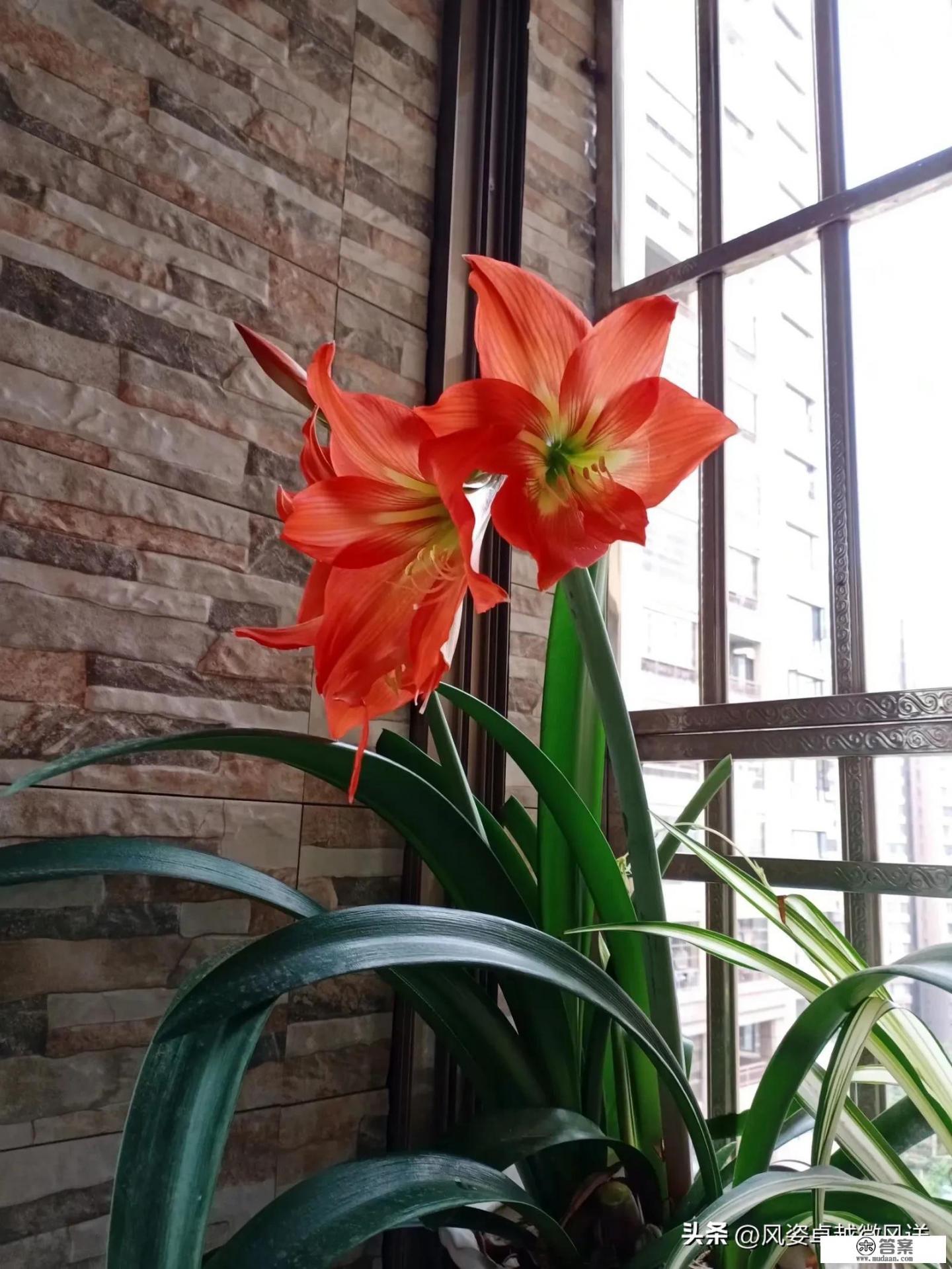 我喜欢上了我的女老师……【请别和我开玩笑】？女生是为何让我心动?