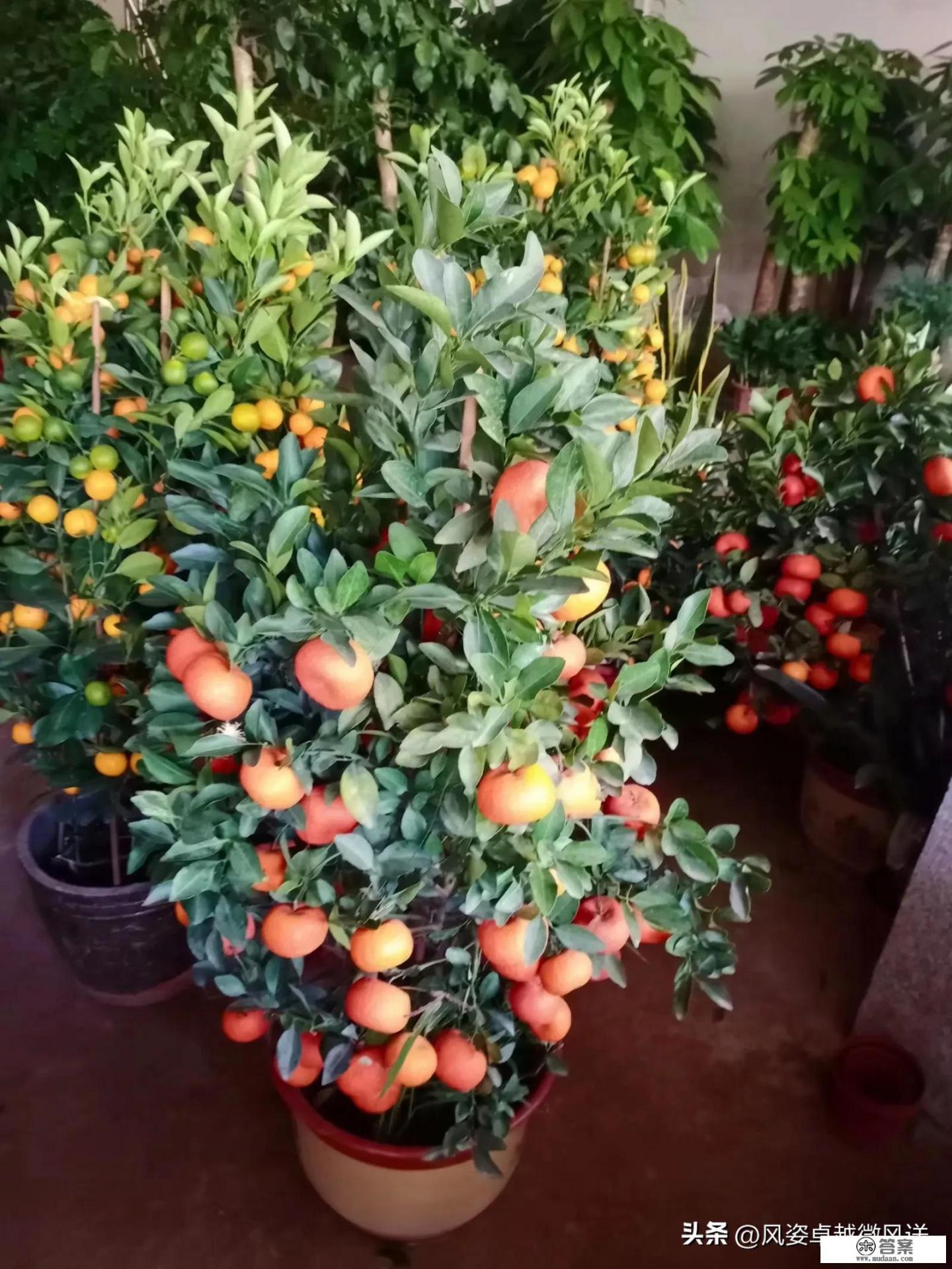 我喜欢上了我的女老师……【请别和我开玩笑】？