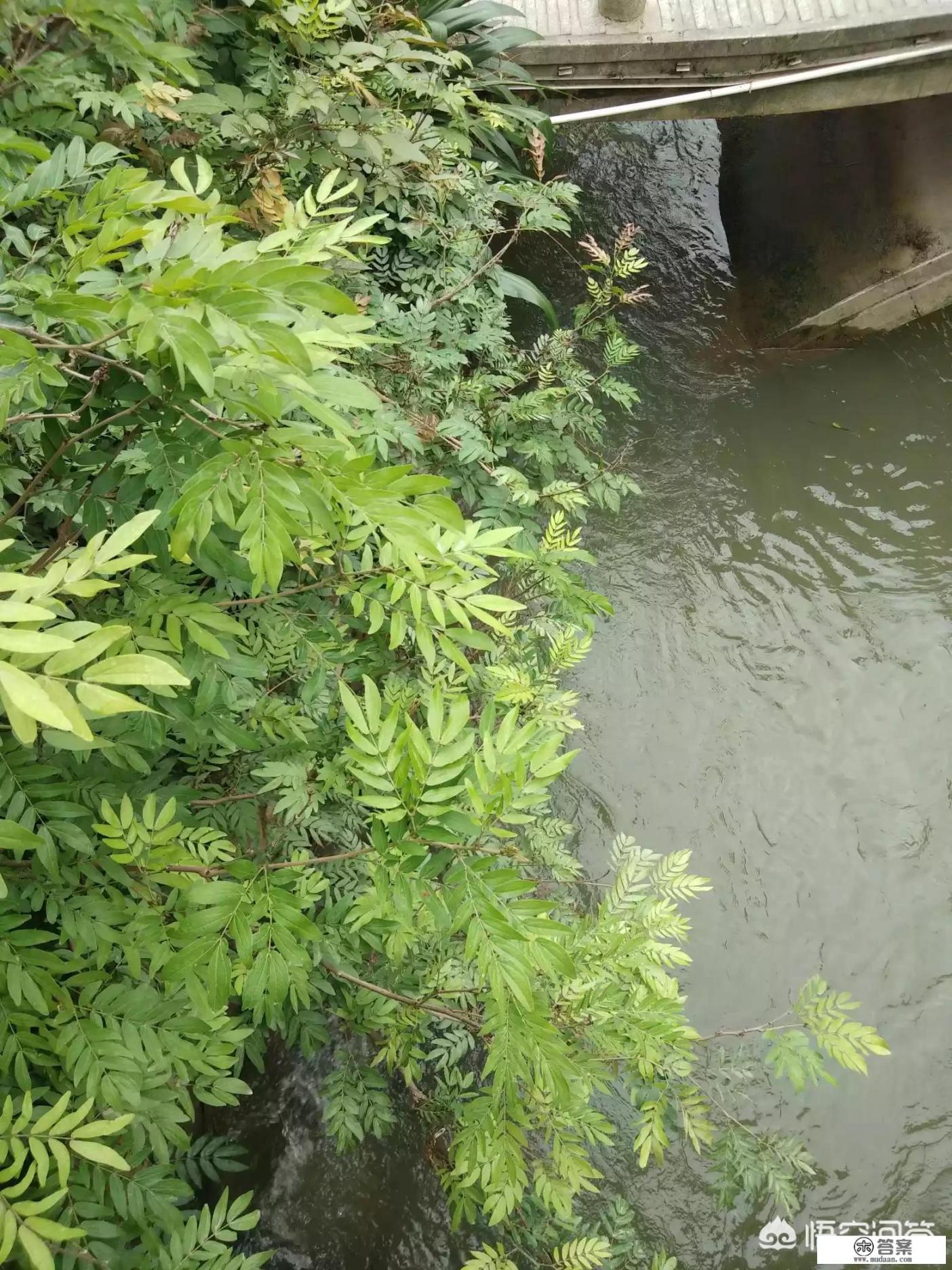 一个女的不喜欢你却又暗示喜欢你，但当你追她她又拒绝，什么心态？女孩为何反感示好又回绝追求者，背后可能隐藏何种动机和心理状态?