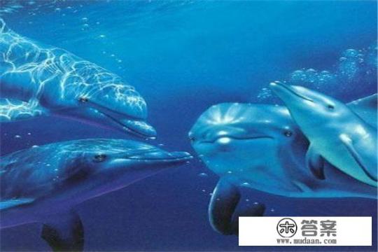 成都海昌极地海洋世界一日游攻略?成都海昌极地海洋世界一日游必备必知事项,门票、开放时间、游玩路线及注意事项详解