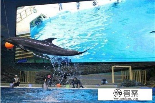 成都海昌极地海洋世界一日游攻略？