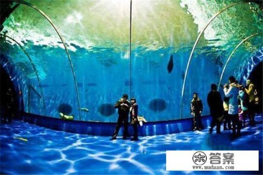 成都海昌极地海洋世界一日游攻略？