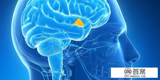 不吃晚饭能减肥吗? 不吃晚饭能减肥吗?