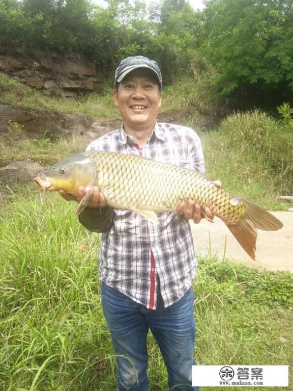 腥味最浓的饵料? 腥味最浓的饵料?