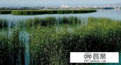 南海大湿地公园好玩吗? 南海大湿地公园好玩吗?