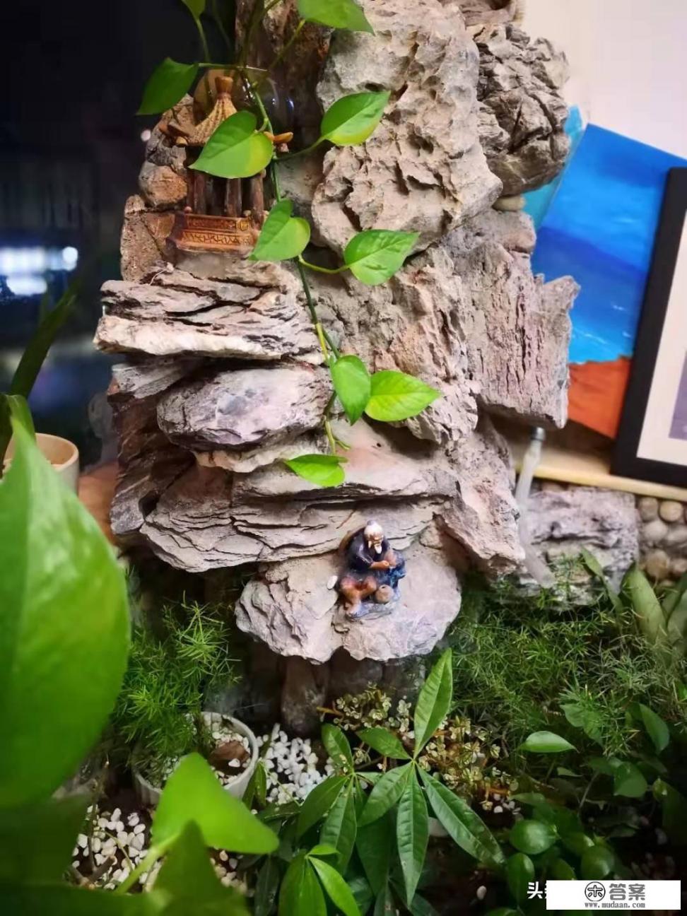 广州：资料造假申请信用卡恶意透支，男子靠“养卡”续命资金流断裂被起诉, 你怎么看？