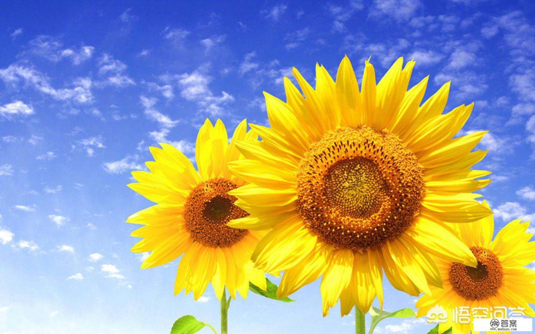 重庆大学机械专业的前途怎么样? 重庆大学机械专业的前途怎么样?