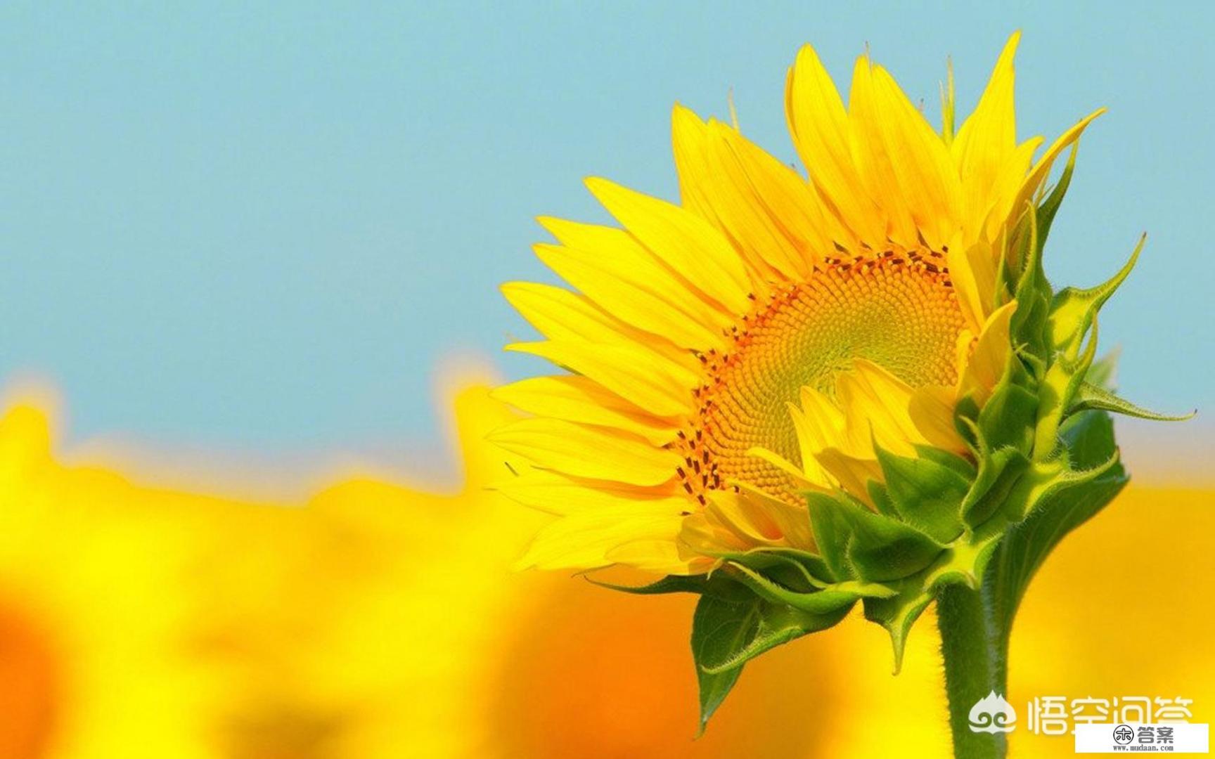 重庆大学机械专业的前途怎么样? 重庆大学机械专业的前途怎么样?