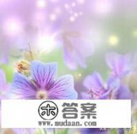 找你妹游戏怎么下架了？