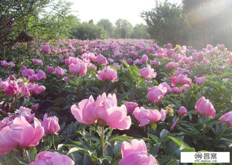 北京拍婚纱外景选哪里好？