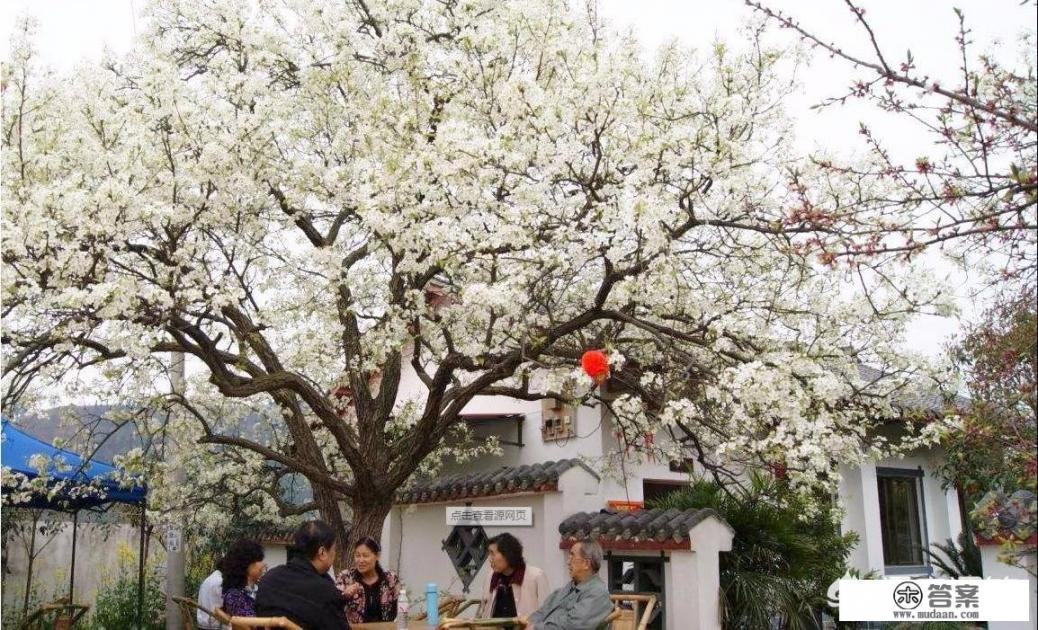 北京拍婚纱外景选哪里好？