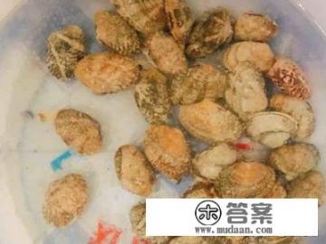 爆炒花蛤的做法? 爆炒花蛤的做法?