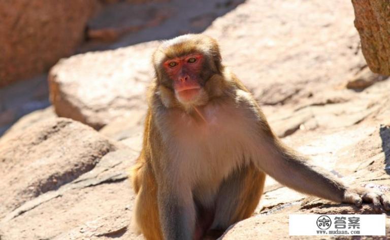 西霞口是哪个城市的啊?我听说西霞口很漂亮? 西霞口是哪个城市的啊?我听说西霞口很漂亮?