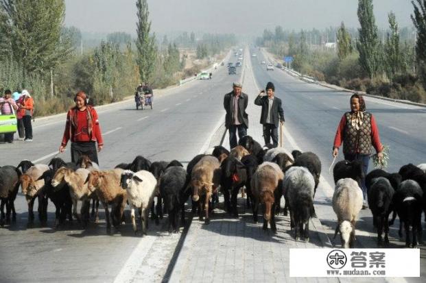 喀什市旅游攻略必备清单？喀什市特色景点及交通指南，深度游必览清单