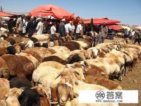 喀什市旅游攻略必备清单? 喀什市旅游攻略必备清单?