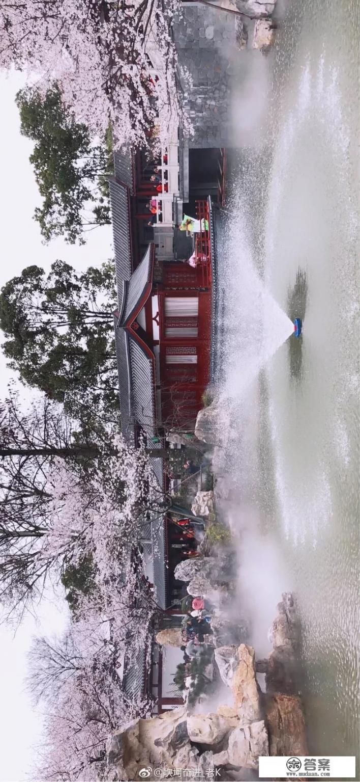 武汉樱园是哪一年种植的？